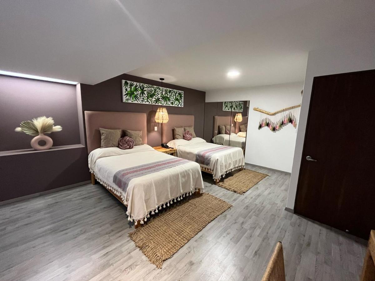 Zen Suites By Regente Oaxaca Eksteriør billede